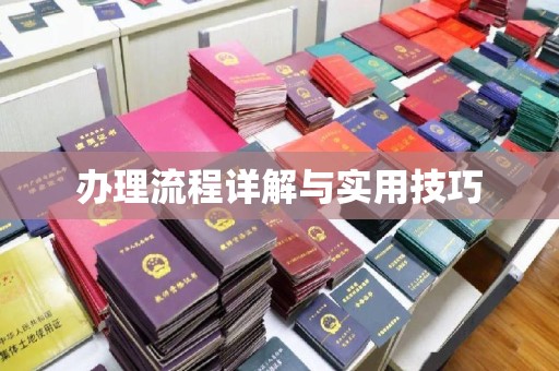 防城港办理流程详解与实用技巧