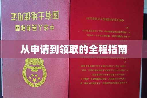 防城港从申请到领取的全程指南