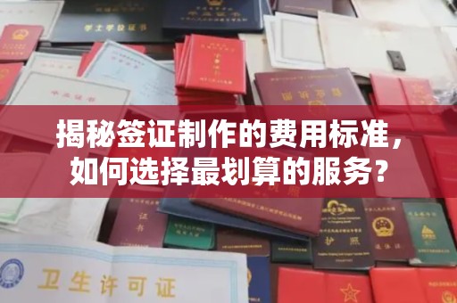 防城港揭秘签证制作的费用标准，如何选择最划算的服务？
