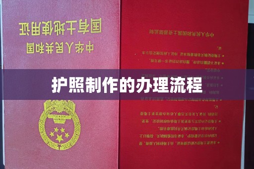 防城港护照制作的办理流程
