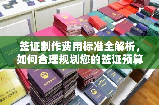 防城港签证制作费用标准全解析，如何合理规划您的签证预算？